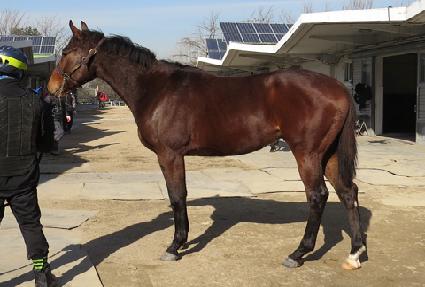 ����ڸ��� ����