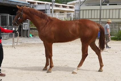 �������� ����