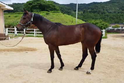 ��������� ����