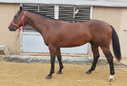 ŷ�����Ϲ� ����