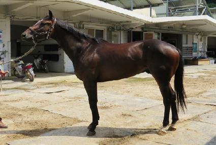 �������ٰ� ����