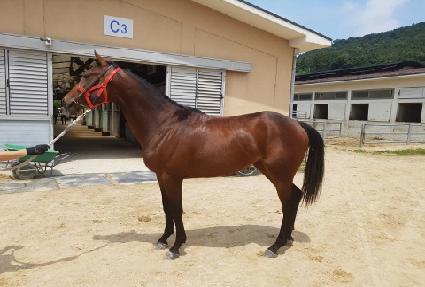 ���ӺҲ� ����