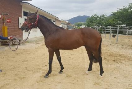 ����Ҳ� ����