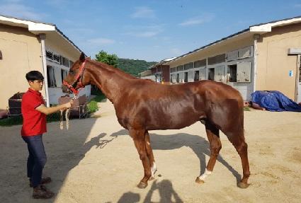 ���Կ��̽� ����