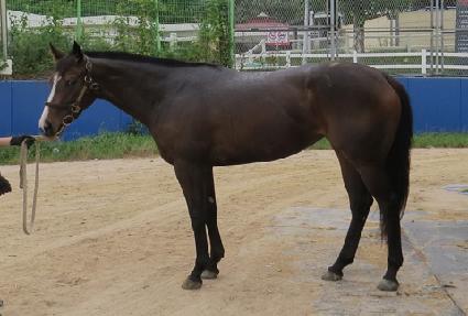 ������ ����