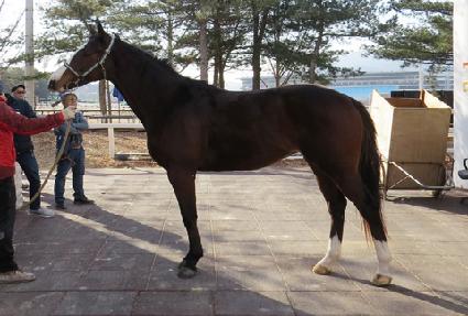 ���̼��̵帲 ����