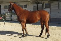 ������ũ (RULES PARK) ����