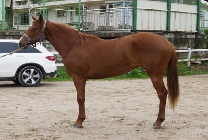 �ε��̵� ����