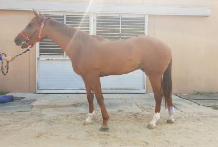 �ǿ������ġ ����