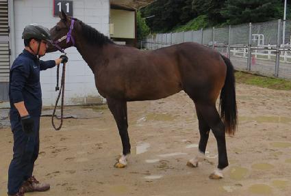 ����ʵ� ����