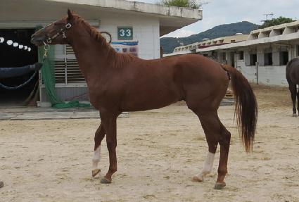 ���ں��� ����