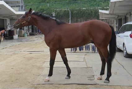 �ٶ����׸��� ����