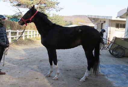 ����Ȧ������ ����