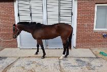 ������ƾ (SUN MOUNTAIN) ����