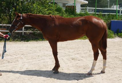 ���󿩽� ����