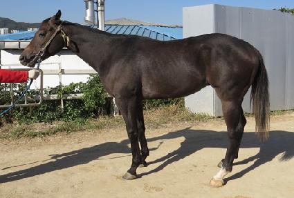 ��ȣ ����