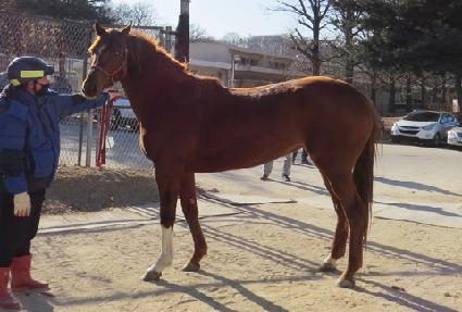 �ٽɺ��� ����