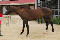 ����Ǯ���� (WONDERFUL DANCER) ����