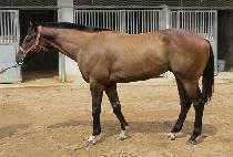 �����ְ� (YEOKDAE CHOEGO) ����