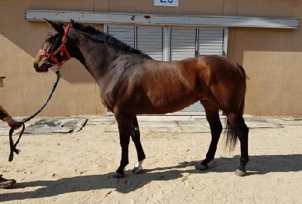 ����Ǯ��ġ ����