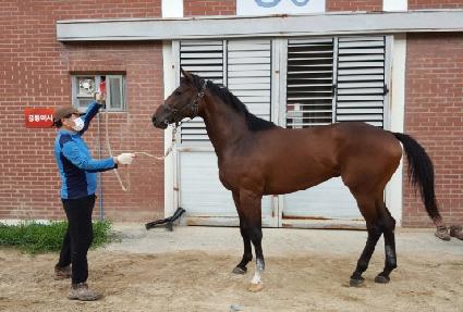 ������Ķ��� ����