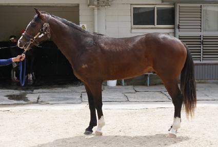 ���Ǿ������� ����