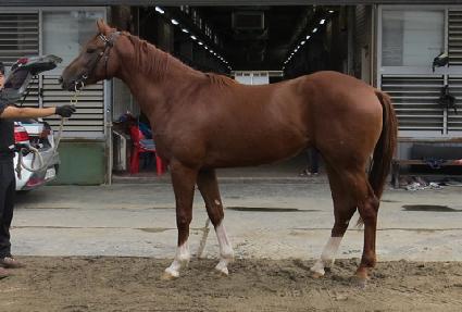 �Ŀ�Ĺ ����