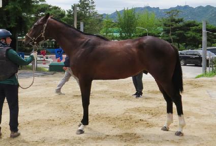 ���̿��� ����