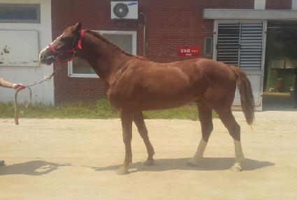 ����������ť ����