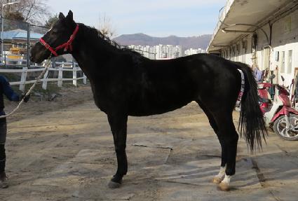 ������ڿ� ����