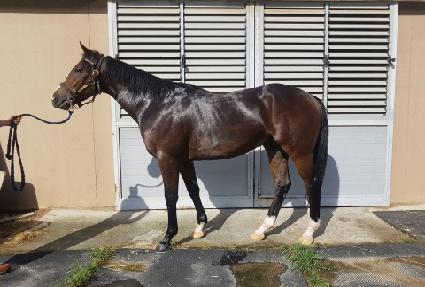 ȭ����è�Ǿ� ����