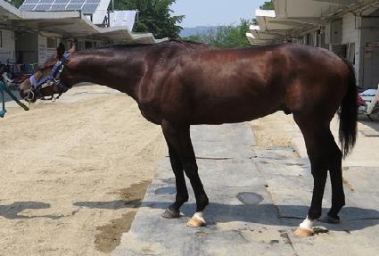 ��������ũ ����