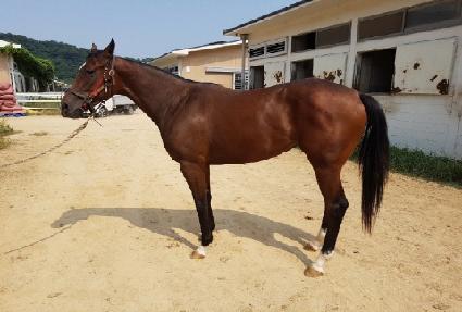 �Ŷ��ǹ̼� ����