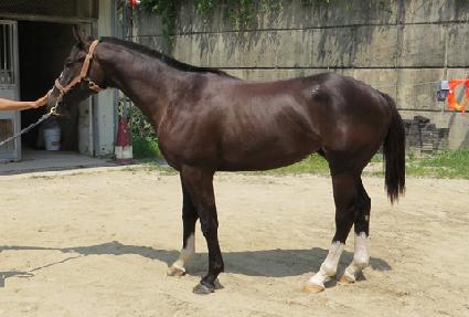 �۷ι�õ�� ����