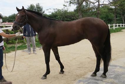 �Ƿ�ü�� ����