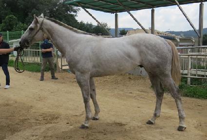 �۽�Ʈ����Ʈ ����