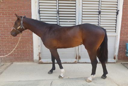 ����Ǯ�븮 ����