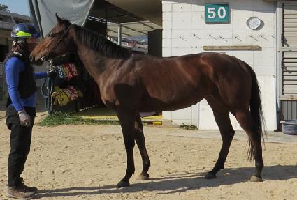 �������� ����