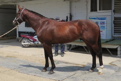 �ϸ��� ����