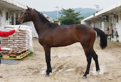 ��극��Ŀ ����