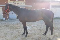 õ���Ǿ�� (CHEONNYEONUIYAKSO) ����