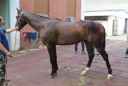 ����ġŸ ����