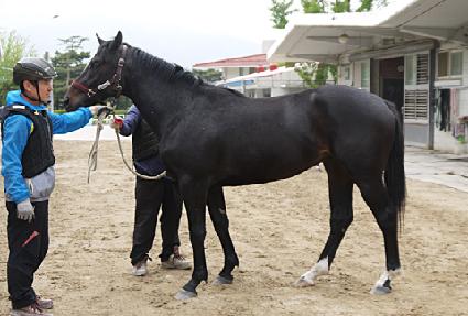 õ����ǳ ����