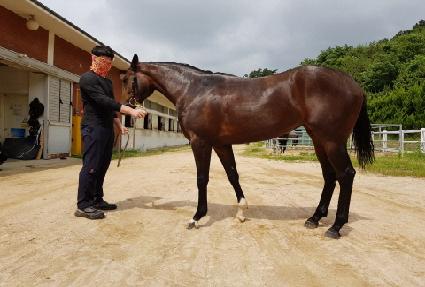 ���������� ����