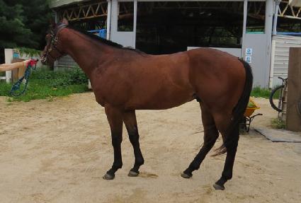 �ʵ����� ����