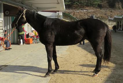 �������� ����