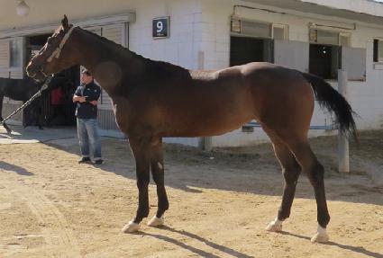 �޴�Ÿ��� ����