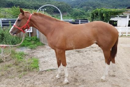 �������̸� ����