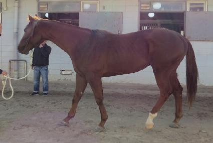 ���� ����