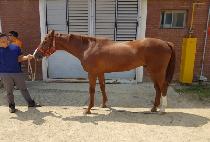 ����ȣ�� (YEONGSEONG HOPE) ����